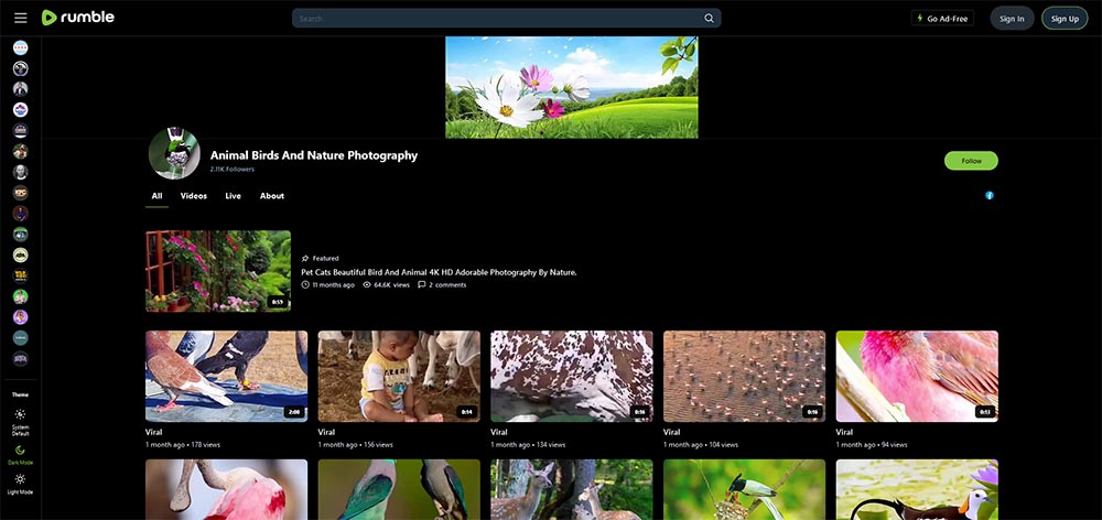 Animal Birds And Nature Photography - Birds Rumble video channel home page screenshot.