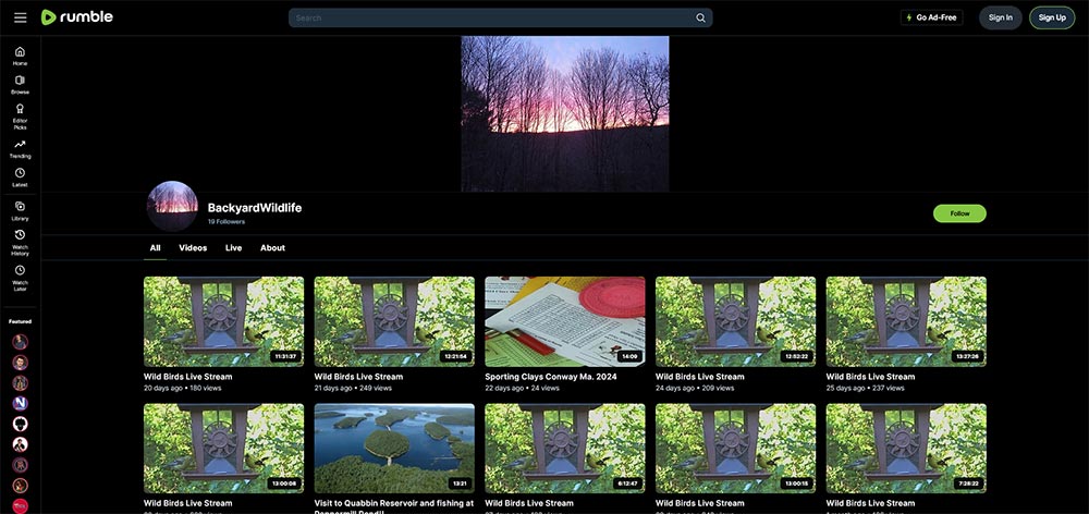 BackyardWildlife - Birds Rumble video channel home page screenshot.