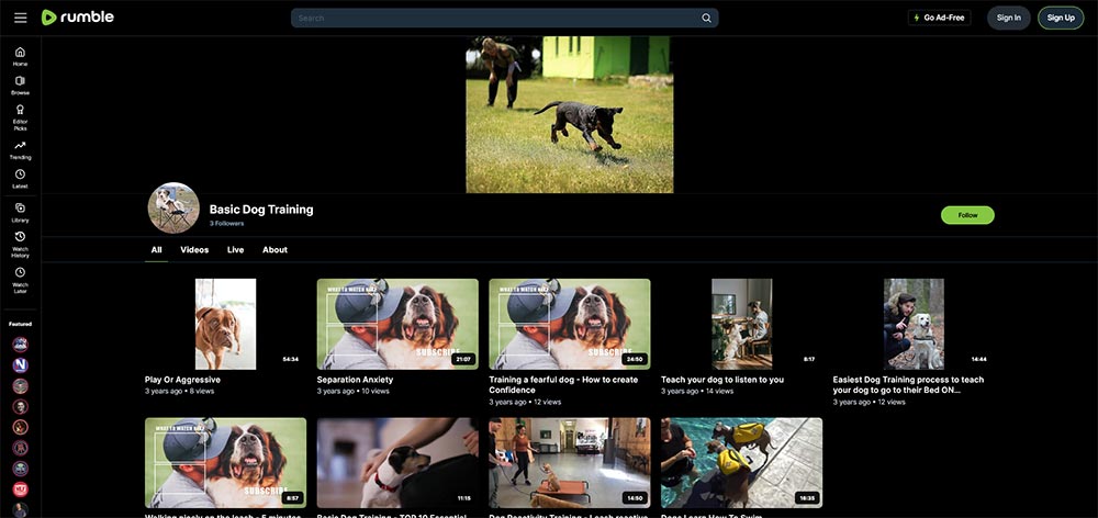 Basic Dog Training - Rumble Dog Training video channel home page screenshot.