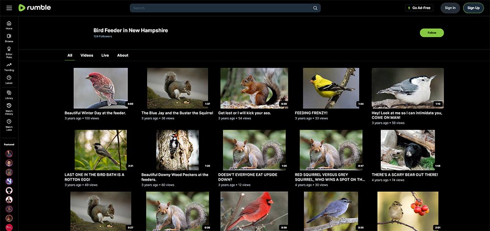 Bird Feeder n New Hampshire - Birds Rumble video channel home page screenshot.
