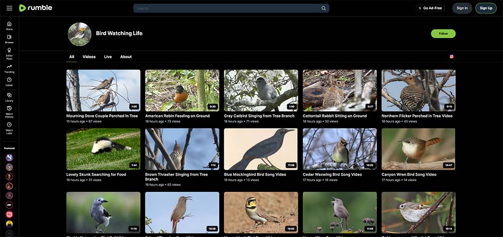 Bird Watching Life - Birds Rumble video channel home page screenshot.