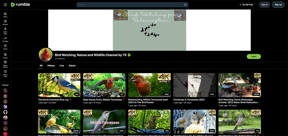 Bird Watching Nature and Wildlife Channel by TK - Birds Rumble video channel home page screenshot.