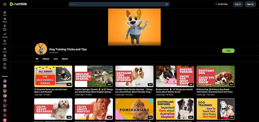Dog Training Tricks and Tips - Rumble Dog Training video channel home page screenshot.