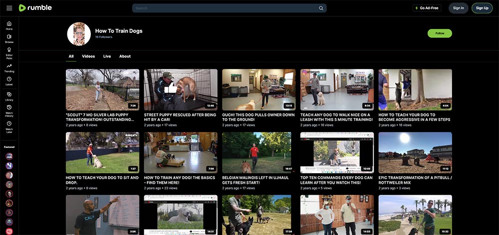 How To Train Dogs - Rumble Dog Training video channel home page screenshot.