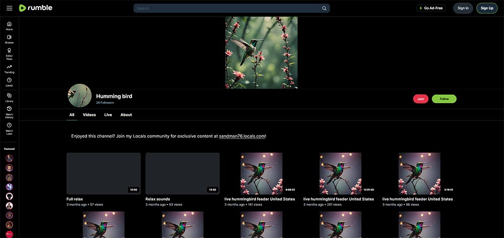 Humming bird - Birds Rumble video channel home page screenshot.