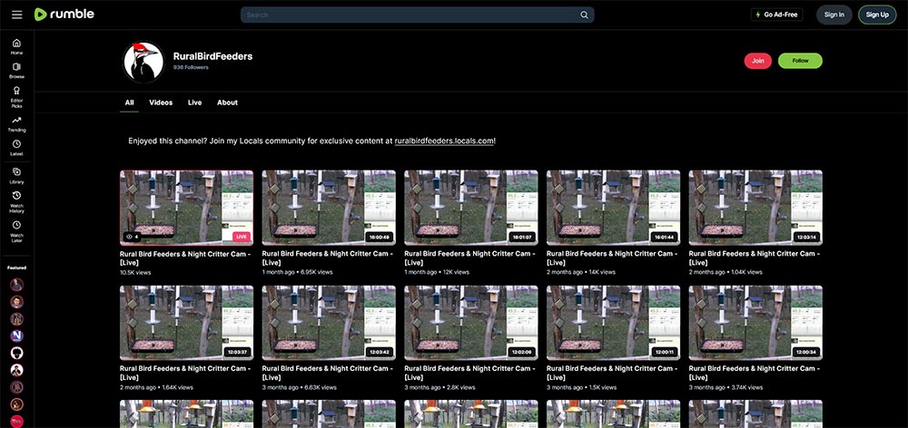 RuralBirdFeeders - Birds Rumble video channel home page screenshot.