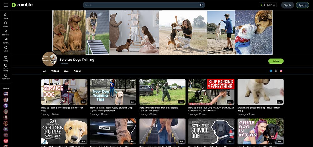 Services Dogs Training - Rumble Dog Training video channel home page screenshot.