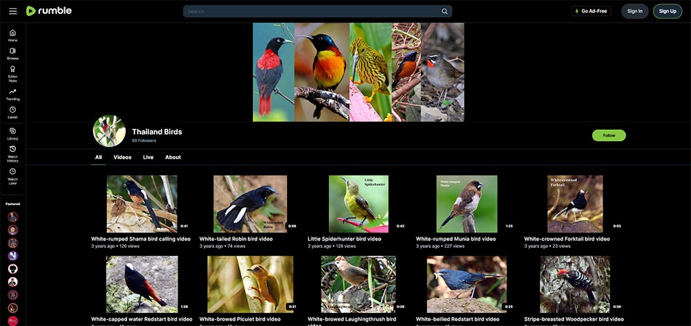 Thailand Birds - Birds Rumble video channel home page screenshot.