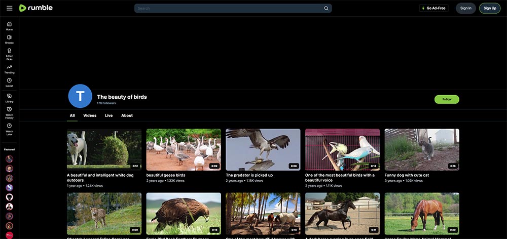 The beauty of birds - Birds Rumble video channel home page screenshot.