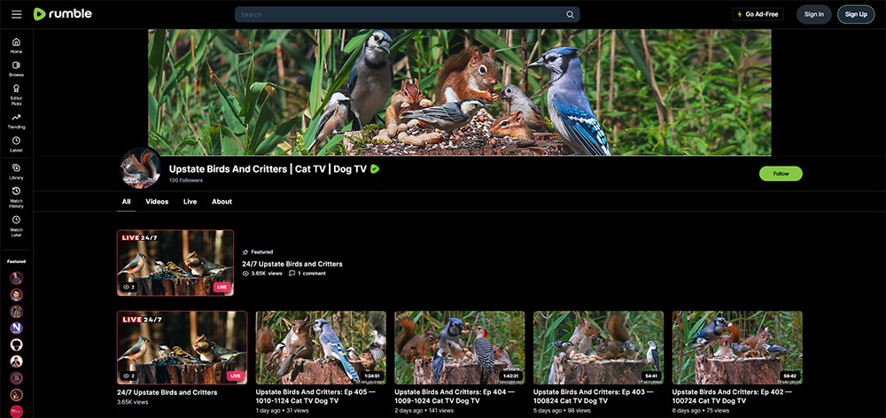 Upstate Birds And Critters Cat TV Dog TV - Birds Rumble video channel home page screenshot.