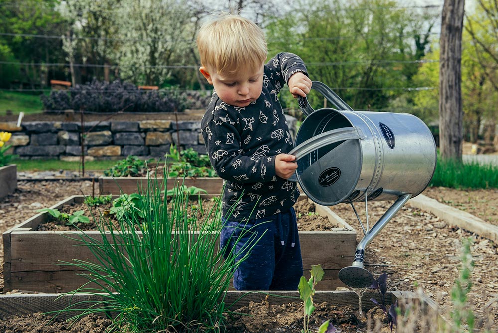 gardening-boy-in-black-and-white-long-sleeve-shirt-standing-beside-gray-metal-watering-can-during-daytime