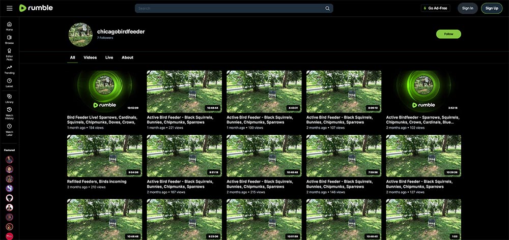 chicagobirdfeeder - Birds Rumble video channel home page screenshot.